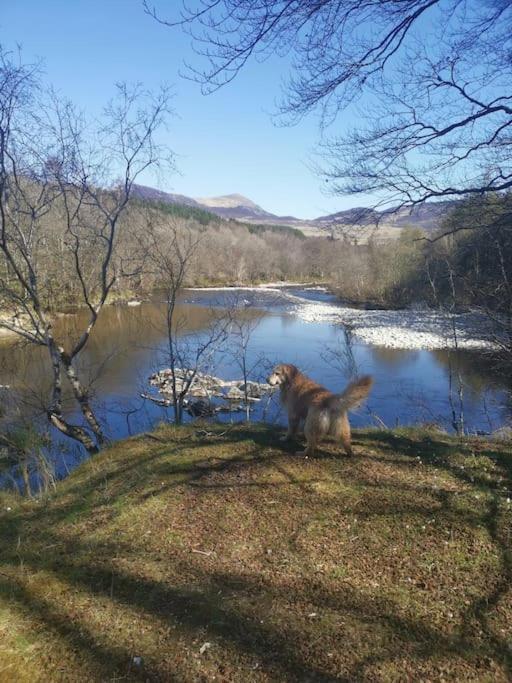Riverside In Killiecrankie * Bridge of Tilt